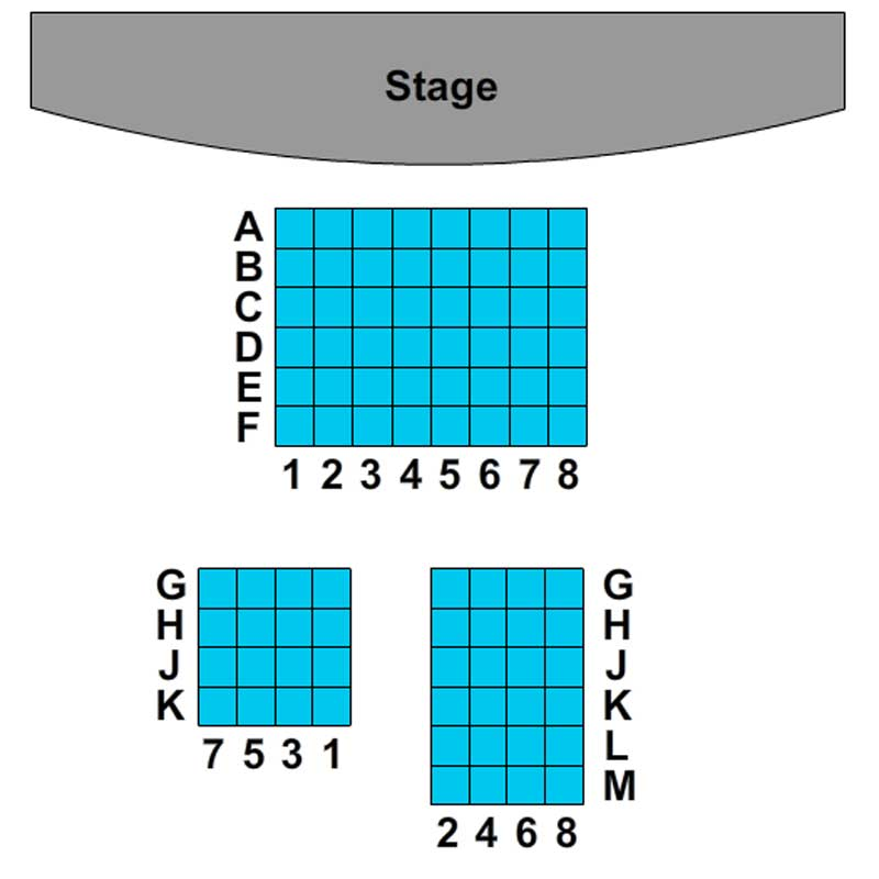 The Lion Theatre Seating Chart